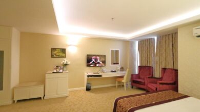 Luxury hotels offering exclusive VIP services to their guests